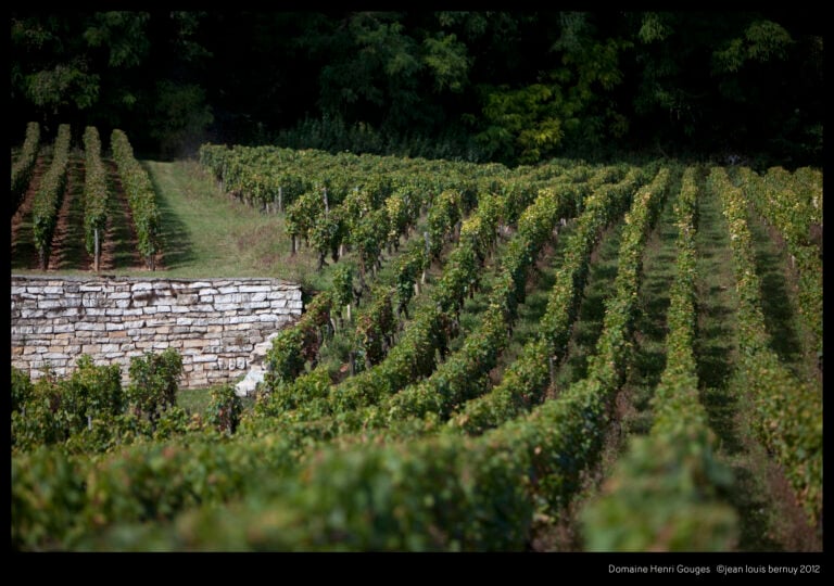 The vineyards of Henri Gouges