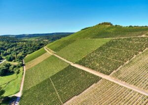 Scharzhofberg Vineyard