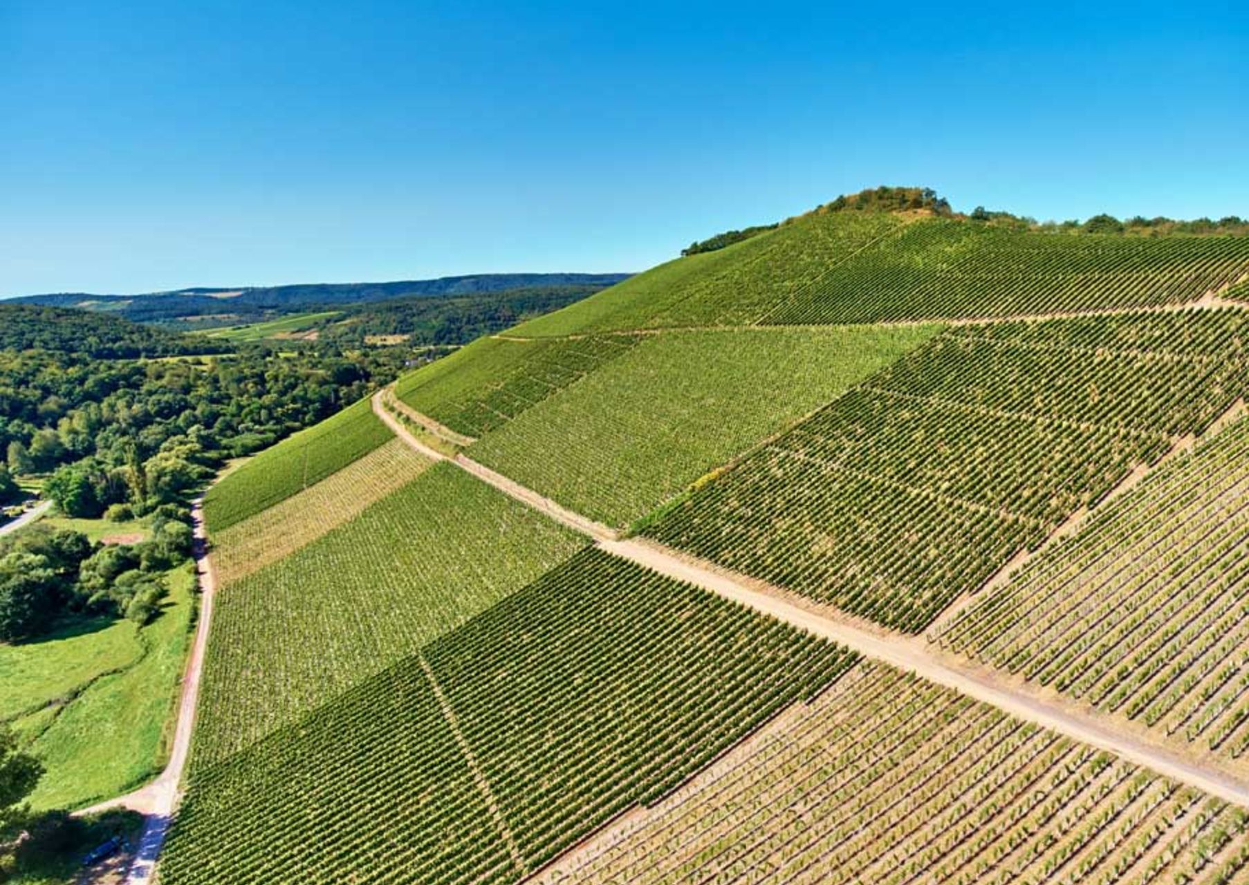 Scharzhofberg Vineyard