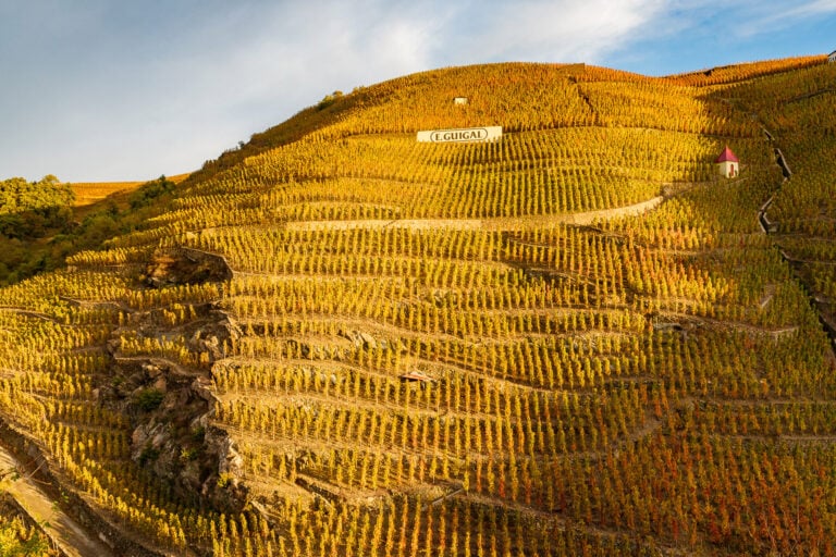 The roasted slopes of Cote Rotie