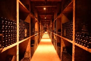 Wine cellar